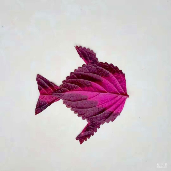 Tutorial on how to hand-paste and collage tropical fish leaf stickers