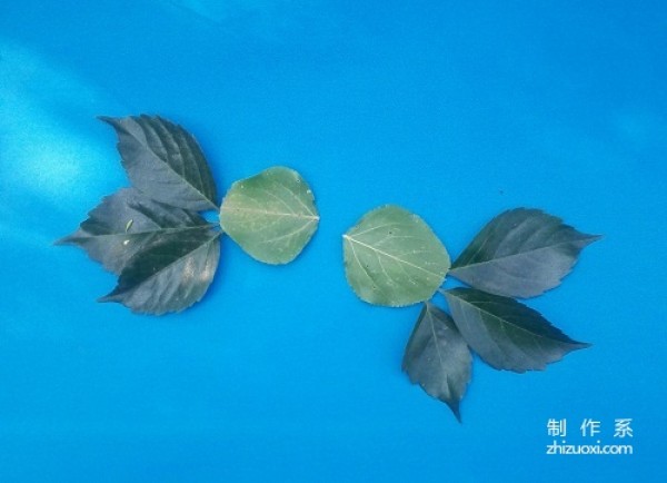 Tutorial on how to make goldfish leaf stickers by hand