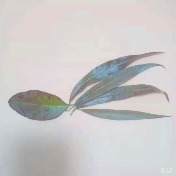 Method of hand-pasting leaves to draw small animals and peacocks