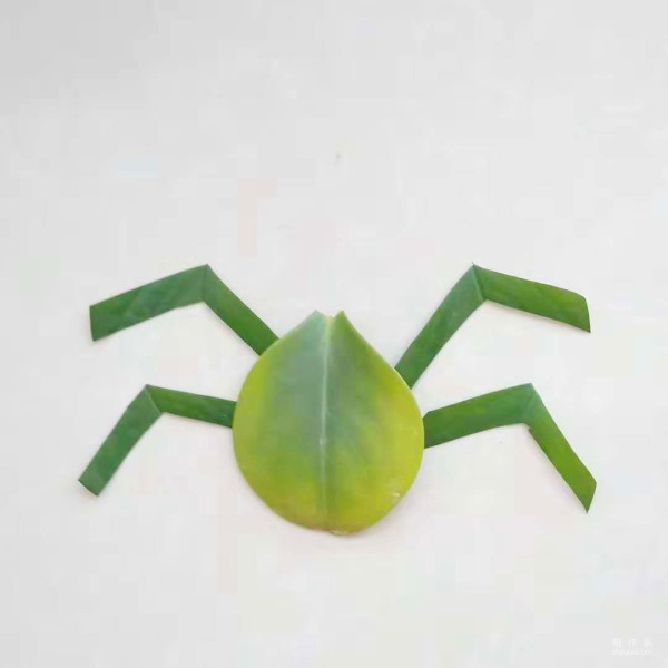 Handmade sticker illustration of insect spider