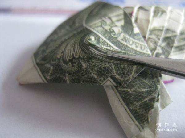 Detailed tutorial of dollar carp origami banknote real shot pictures