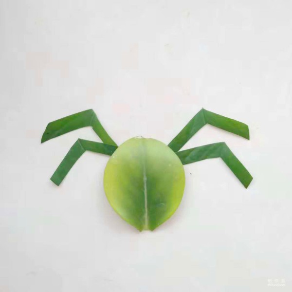 Beautiful and simple little spider leaf collage method