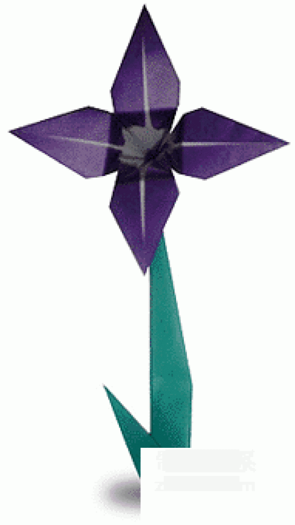 Illustrated tutorial on how to make origami iris for children