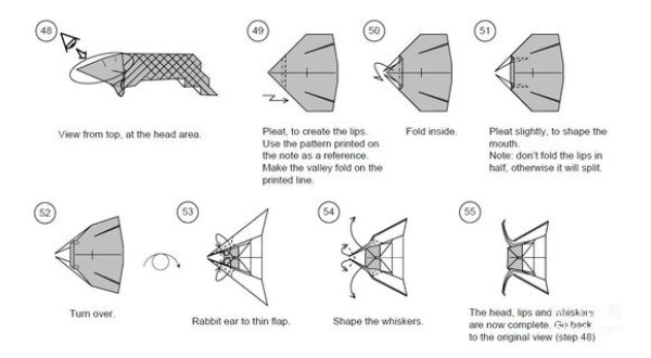 Detailed tutorial of dollar carp origami banknote real shot pictures