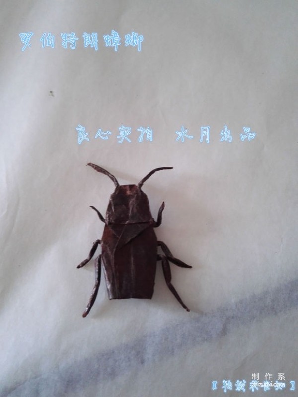 Teach you how to fold a cockroach with real-life origami illustrations