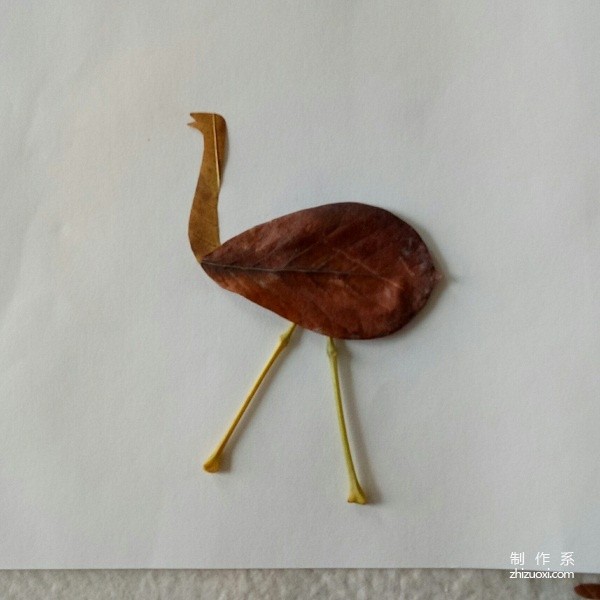 Illustration of DIY method for making ostrich collage