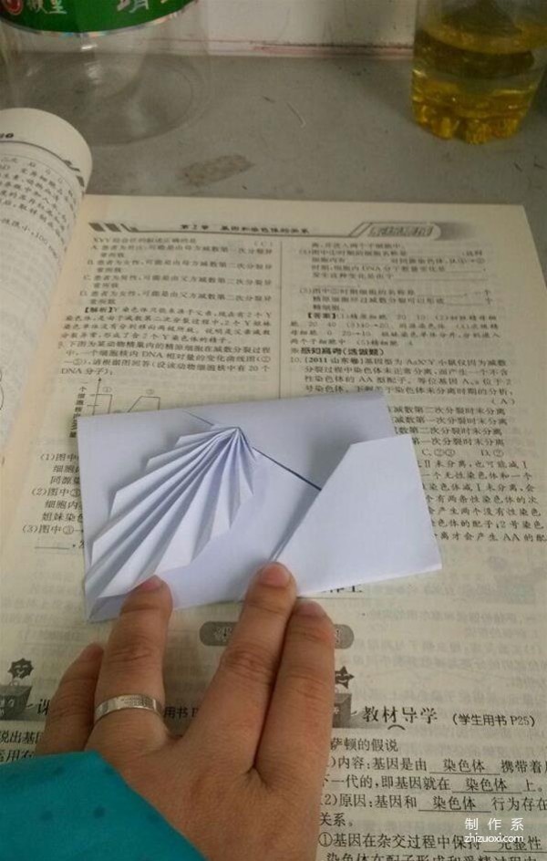 Illustration of the origami method of DIY acacia leaf stationery