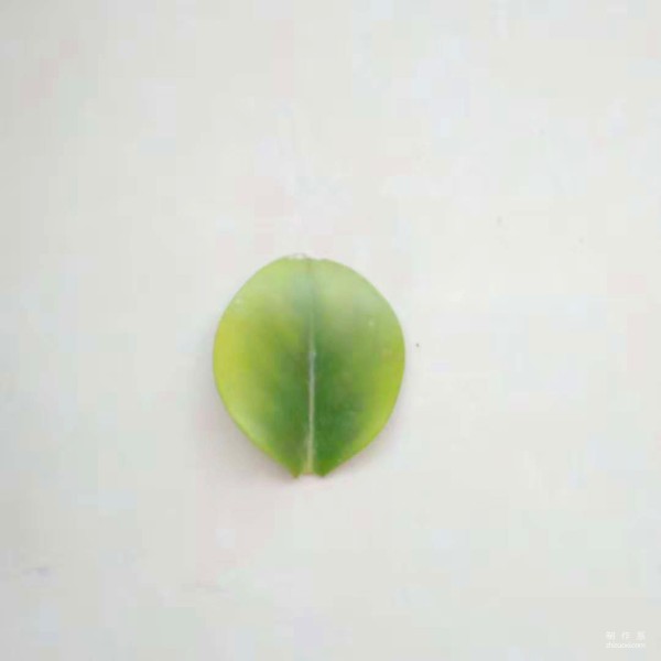 Beautiful and simple little spider leaf collage method