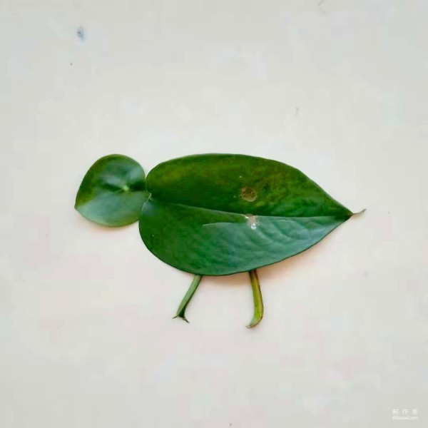 Step-by-step method of hand-painting cartoon bird on leaves