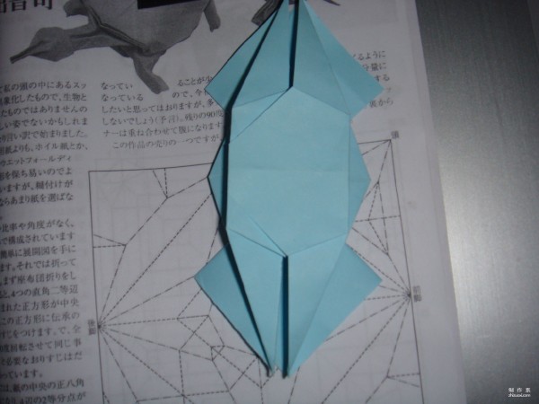 Detailed tutorial on origami pictures of soft-shell turtles