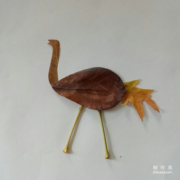 Illustration of DIY method for making ostrich collage