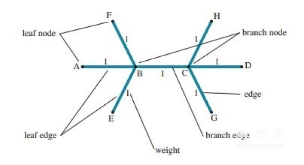 Robert J Langs basic knowledge of origami design and introduction to snake belly