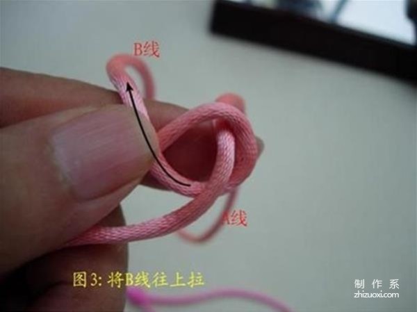 Illustrated tutorial on how to tie the bud knot