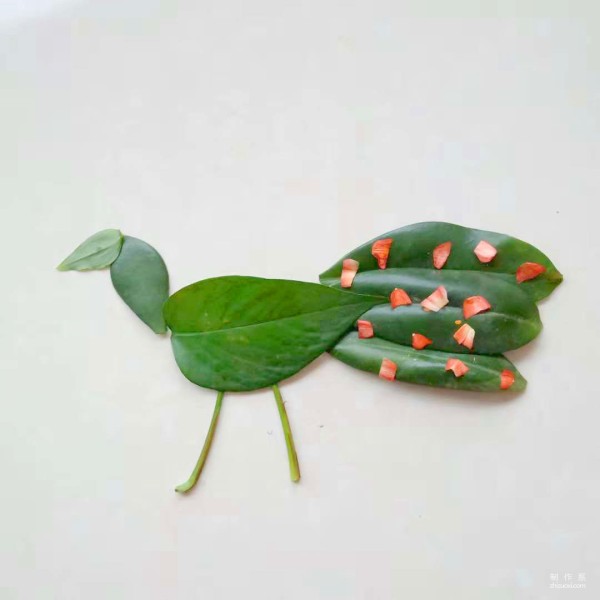 Illustration of DIY method for leaf stickers of Peacock, the King of Birds