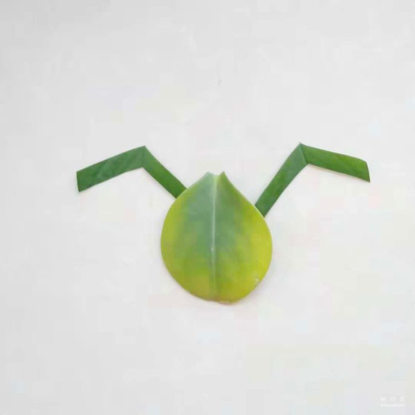 Handmade sticker illustration of insect spider