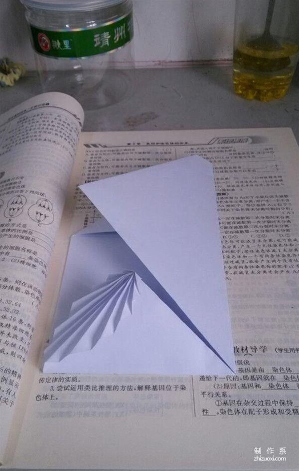 Illustration of the origami method of DIY acacia leaf stationery