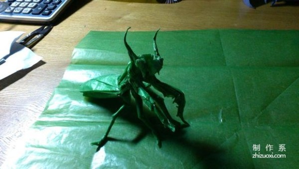 Praying mantis origami tutorial, mantis origami illustration