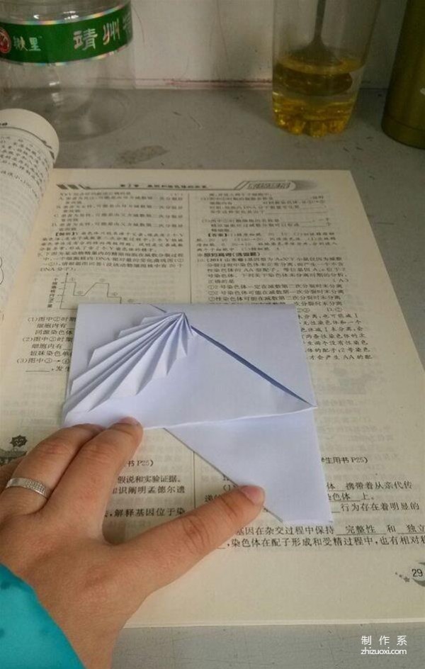 Illustration of the origami method of DIY acacia leaf stationery