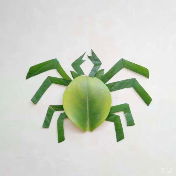 Beautiful and simple little spider leaf collage method