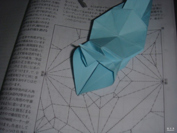 Detailed tutorial on origami pictures of soft-shell turtles