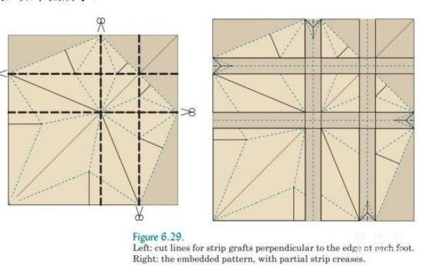 Robert J Langs basic knowledge of origami design and introduction to snake belly