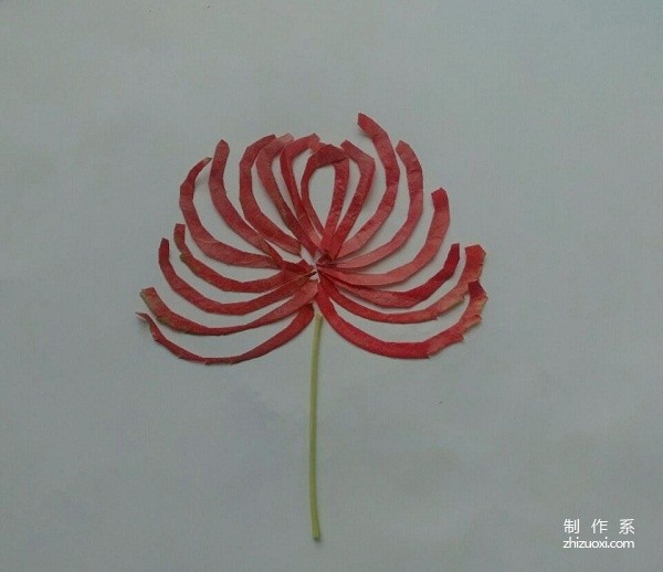 Beautiful red chrysanthemum DIY handmade tutorial