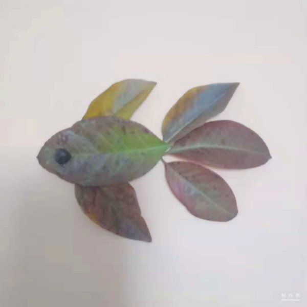 Tutorial on the manual collage method of leaf sticker goldfish