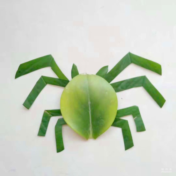 Beautiful and simple little spider leaf collage method