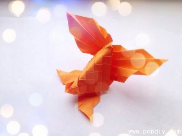 DIY origami making