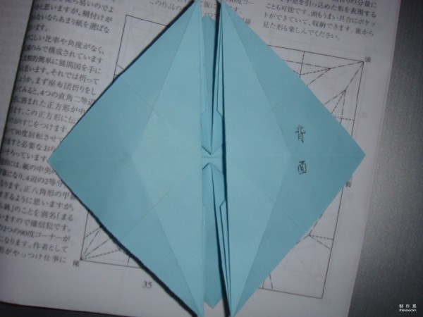 Detailed tutorial on origami pictures of soft-shell turtles