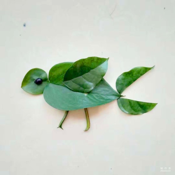 Step-by-step method of hand-painting cartoon bird on leaves