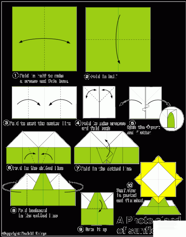 Origami method of sunflower photo frame