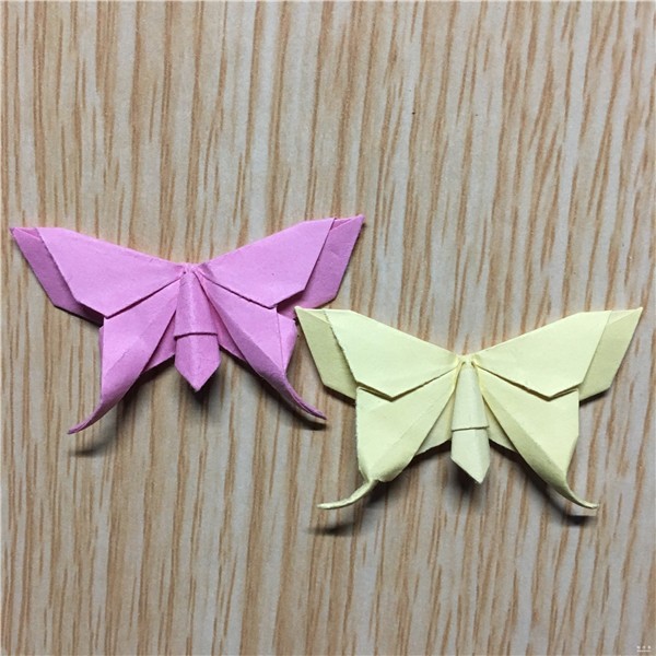 Beautiful butterfly origami real shot tutorial