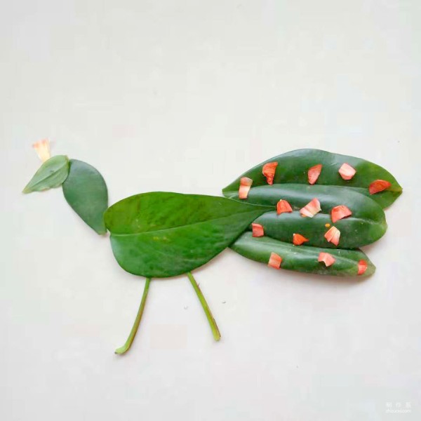 Illustration of DIY method for leaf stickers of Peacock, the King of Birds