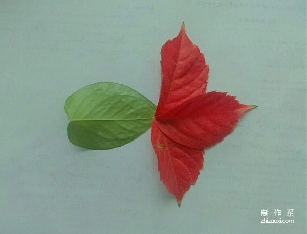 A handmade tutorial for leaf stickers with red tailed fish