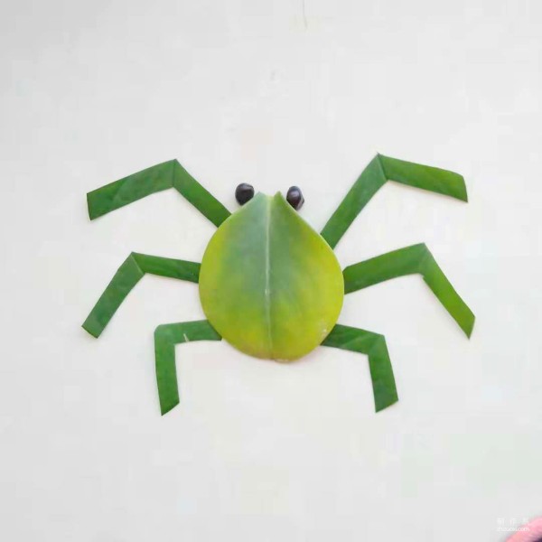 Handmade sticker illustration of insect spider