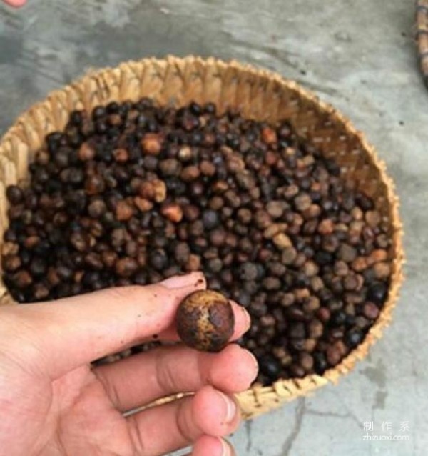 Deciphering the production process of Hainan Xingyue Bodhi Buddha Beads and the processing technology of Buddha Beads