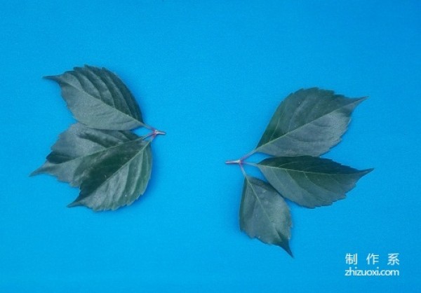 Tutorial on how to make goldfish leaf stickers by hand