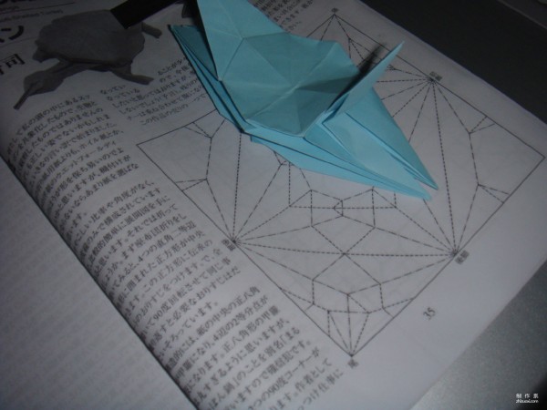 Detailed tutorial on origami pictures of soft-shell turtles