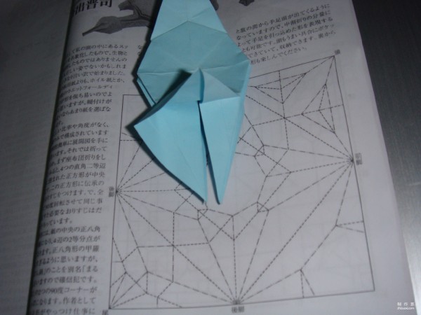 Detailed tutorial on origami pictures of soft-shell turtles