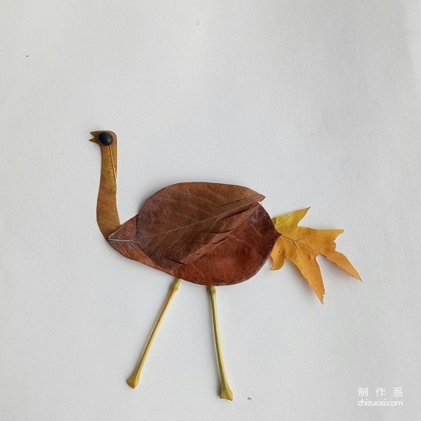 Illustration of DIY method for making ostrich collage