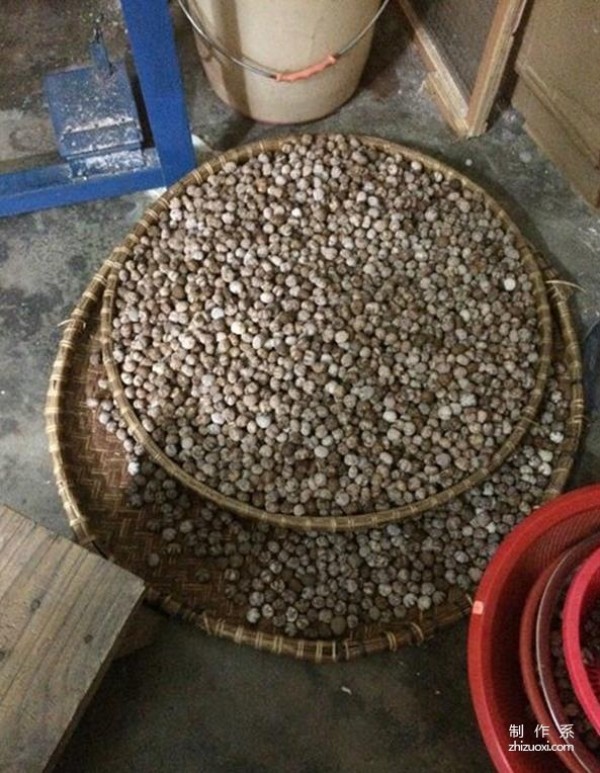 Deciphering the production process of Hainan Xingyue Bodhi Buddha Beads and the processing technology of Buddha Beads