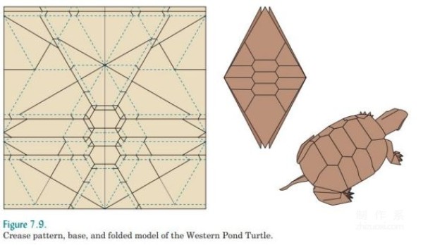 Robert J Langs basic knowledge of origami design and introduction to snake belly