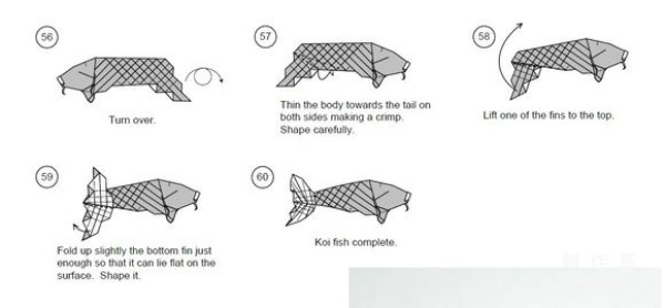 Detailed tutorial of dollar carp origami banknote real shot pictures