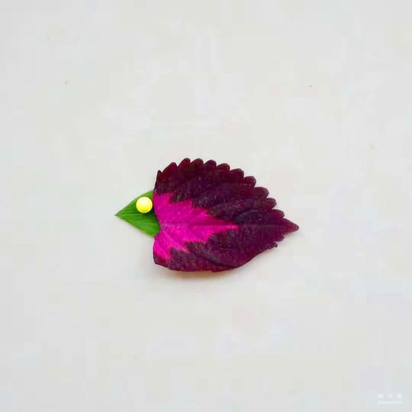 Illustrated tutorial for leaf stickers with pretty chicks