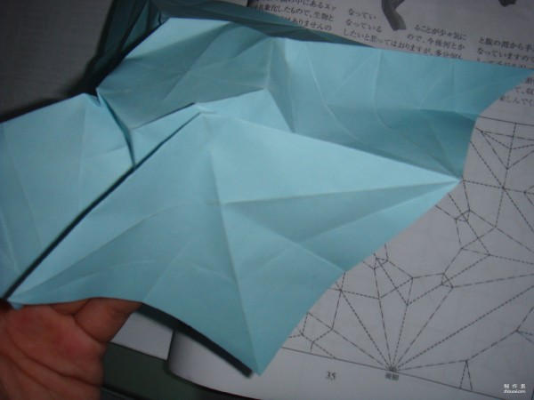 Detailed tutorial on origami pictures of soft-shell turtles