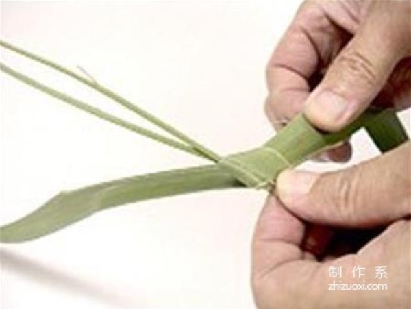 Illustrated tutorial on the hand-weaving method of coconut leaves and grasshoppers