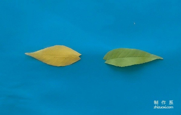 Handmade tutorial on leaf stickers of a pair of fish talking heart-to-heart