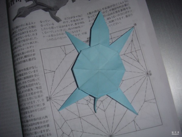 Detailed tutorial on origami pictures of soft-shell turtles