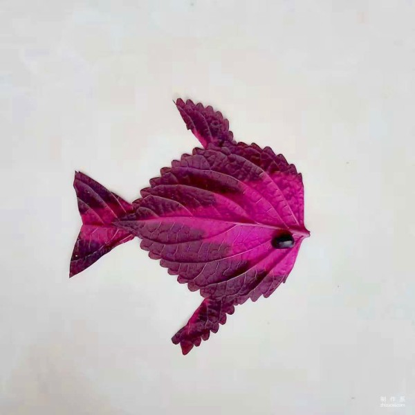 Tutorial on how to hand-paste and collage tropical fish leaf stickers